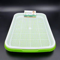 Sprout Plate / Seedling Tray / Nursery Tray - CityFarm