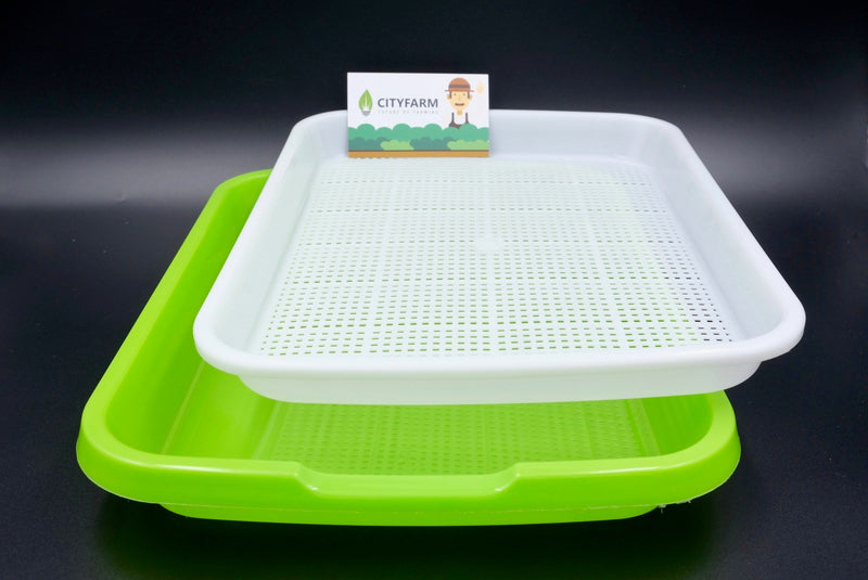 Sprout Plate / Seedling Tray / Nursery Tray - CityFarm