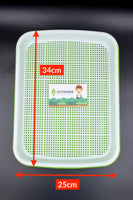 Sprout Plate / Seedling Tray / Nursery Tray - CityFarm