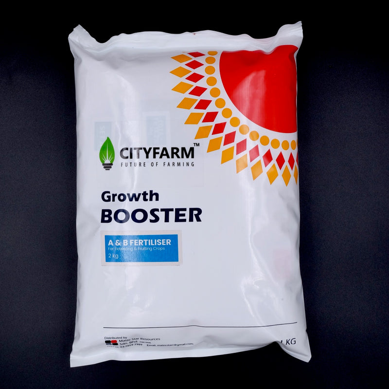 2kg Hydroponic A & B Solid Fertilizer (For Flowering & Fruiting Crops) - CityFarm