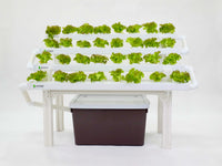 CityFarm 4-Tier Waterfall Home Garden (4ft NFT Channel)