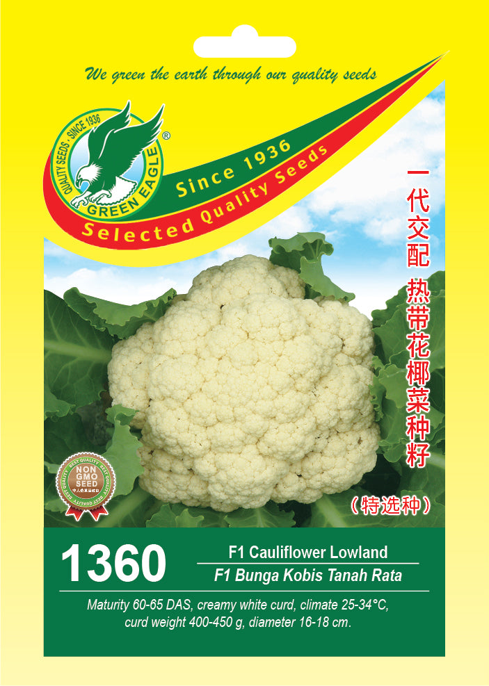 Cauliflower Lowland