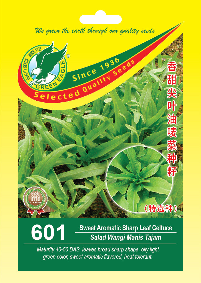 Sweet Aromatic Sharp Leaf Celtuce