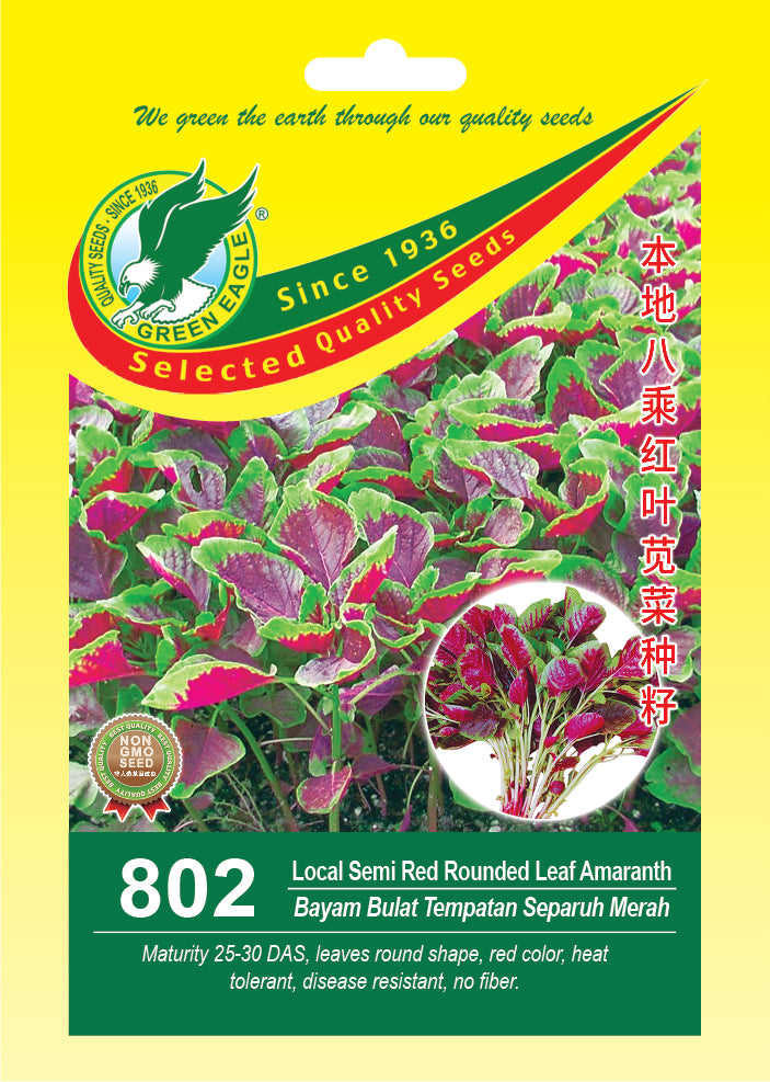 Local Semi Red Rounded Leaf Amaranth