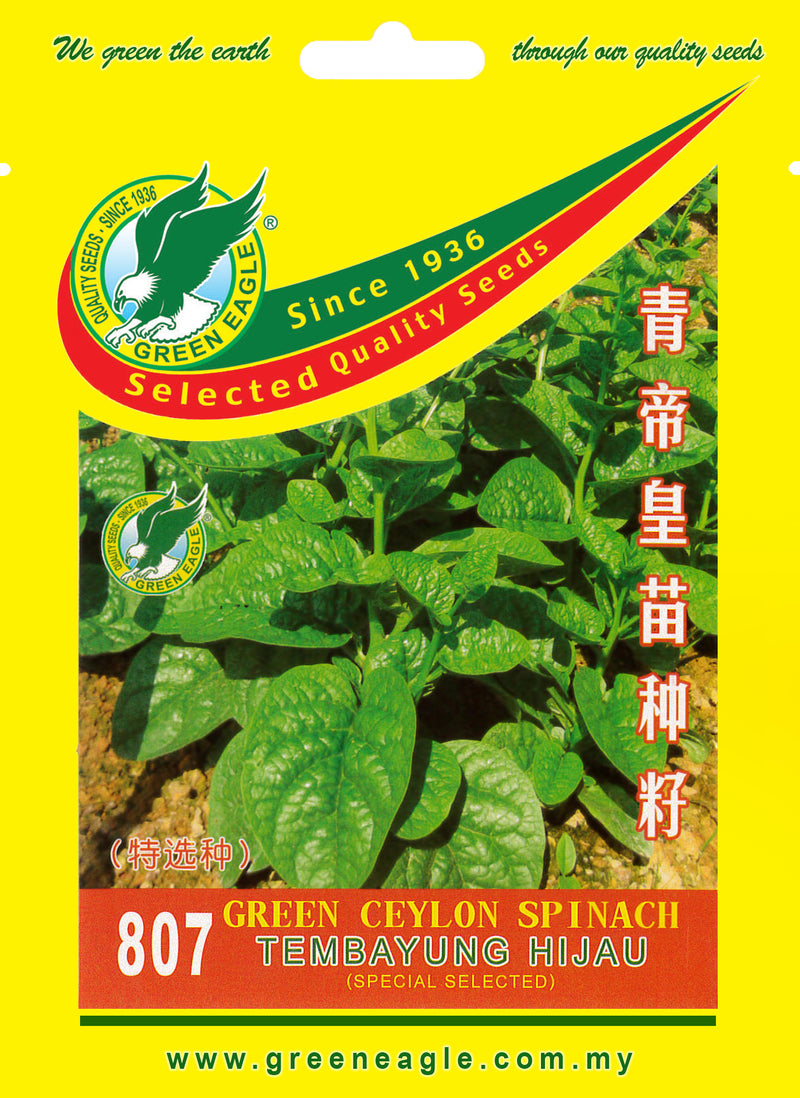 Green Ceylon Spinach
