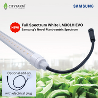 4 Feet CityFarm Horticulture Full Spectrum LED T8 Growlight - Wire Link Connection