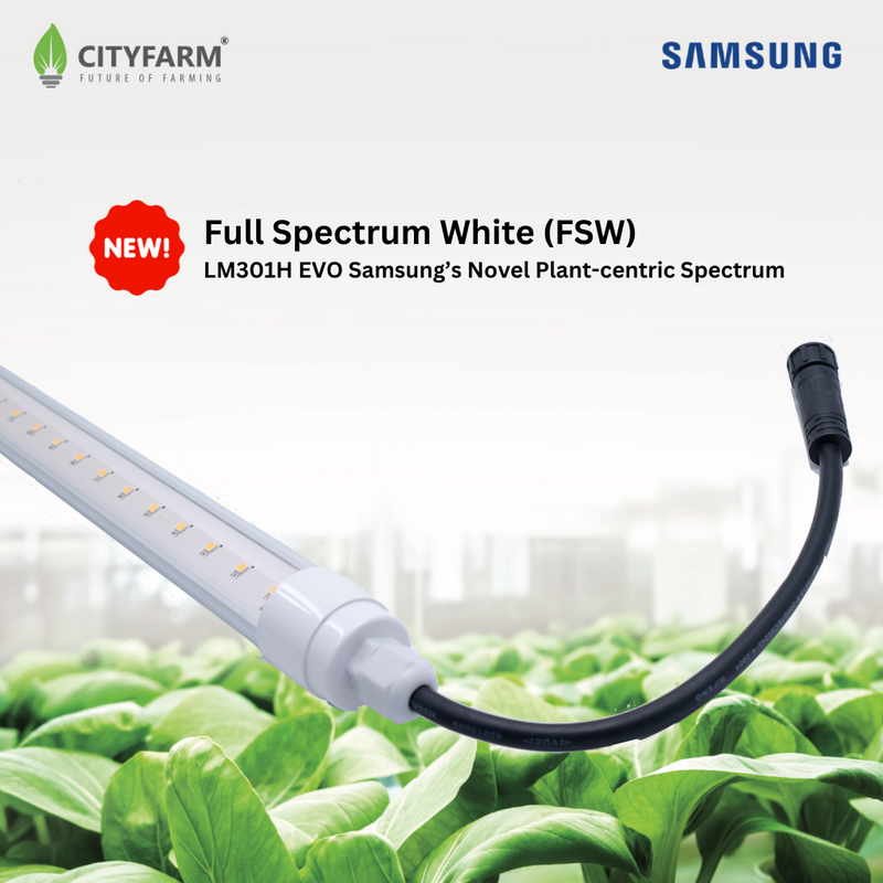 4 Feet CityFarm Horticulture Full Spectrum LED T8 Growlight - Wire Link Connection