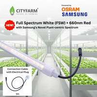4 Feet CityFarm Full Spectrum + 660nm Red LED T8 Horticulture Growlight  - Wire Link Connection