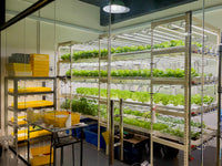 4 Level Plant Factory with Artificial Light(PFAL) Vertical Farm Module - CityFarm Malaysia - The Urban Farming Expert