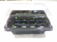 Mini Germination Box (Set of 2) - CityFarm