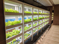 AutoPot Nuwa Tower - CityFarm