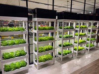 AutoPot Nuwa Tower (4-Tier Premium Indoor Farm)