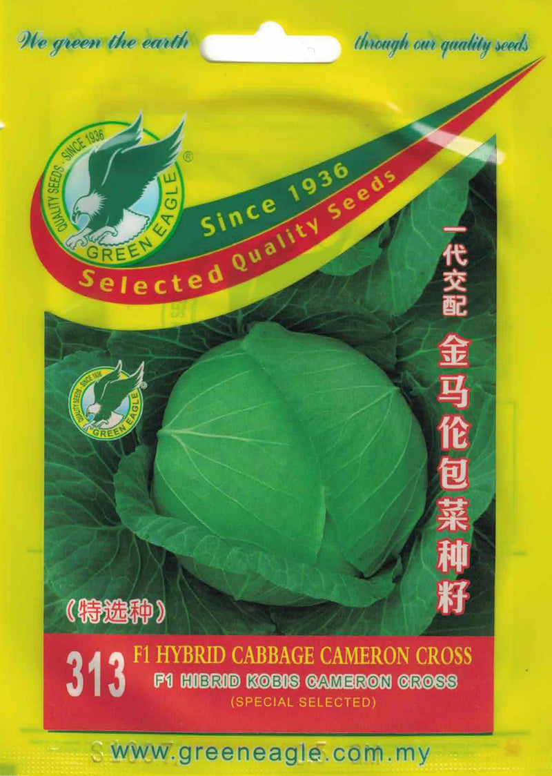 Hybrid Cabbage Cameron Cross - CityFarm