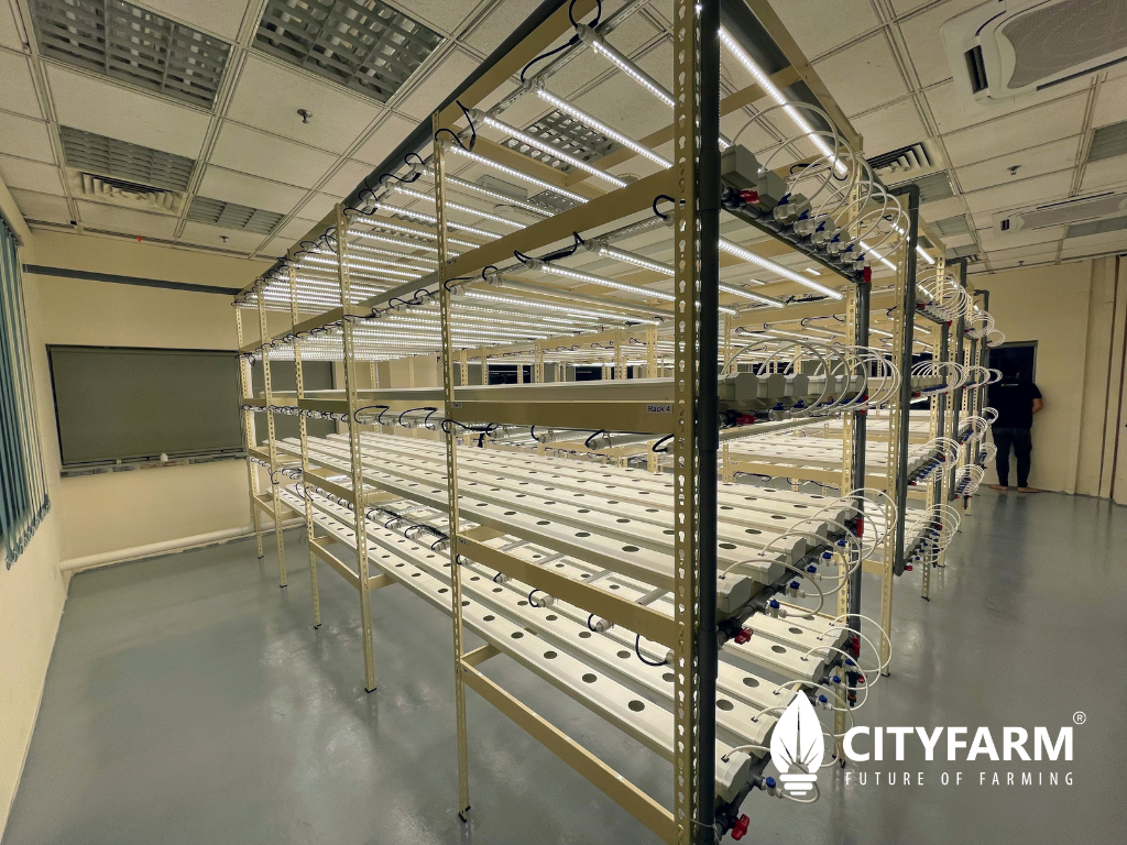 4 Level Plant Factory with Artificial Light(PFAL) Vertical Farm Module ...