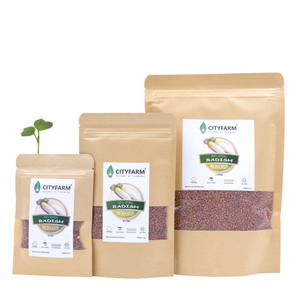 Radish Microgreen Seeds