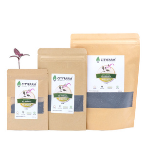 Red Amaranth Microgreen Seeds