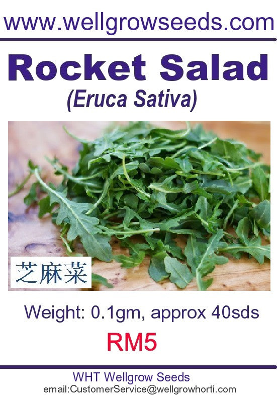 WHT - Rocket Salad - CityFarm