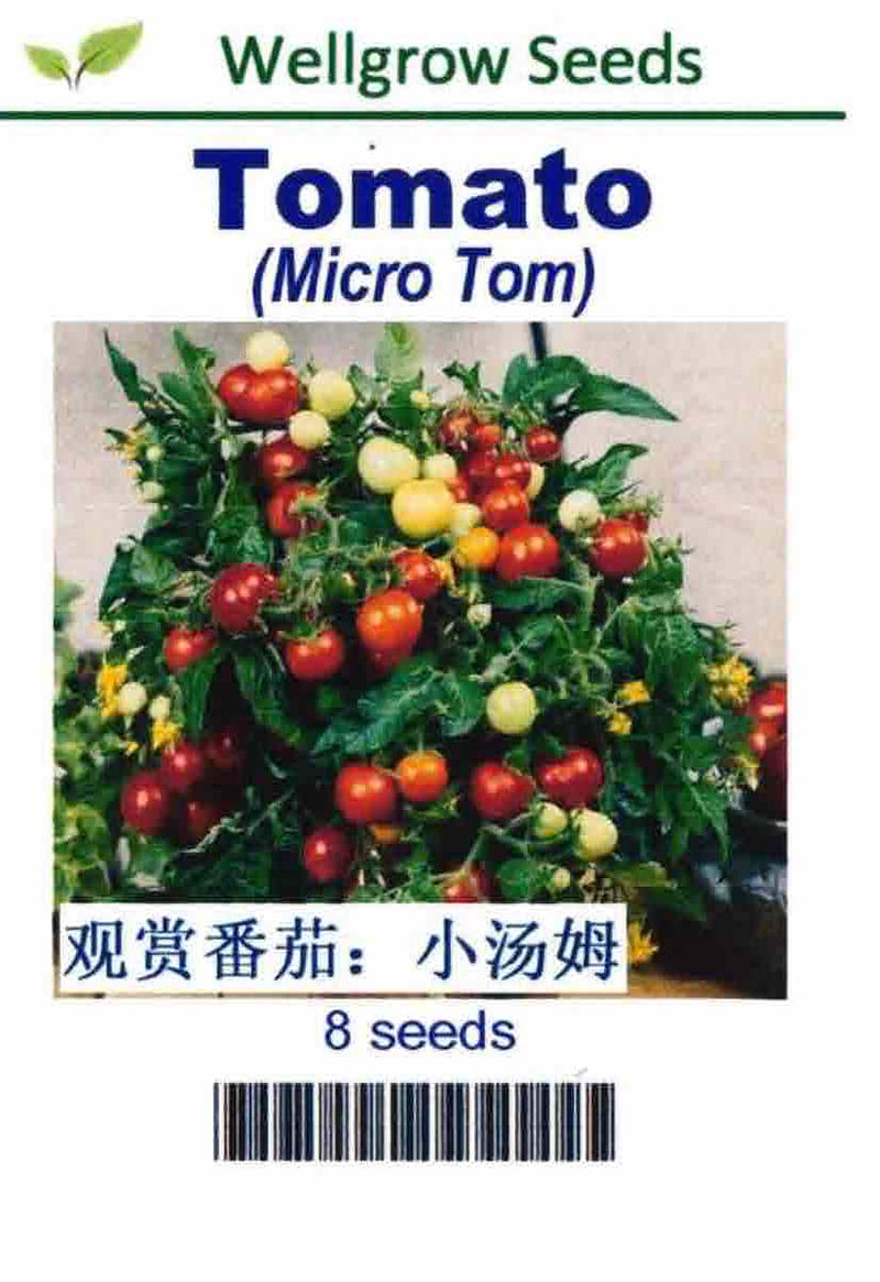 WHT - Tomato Micro Tom - CityFarm