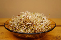 Alfalfa Microgreen Seeds - CityFarm