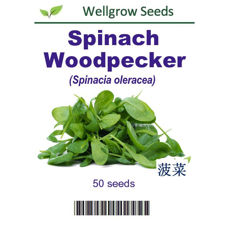 WHT-Spinach Woodpecker - CityFarm