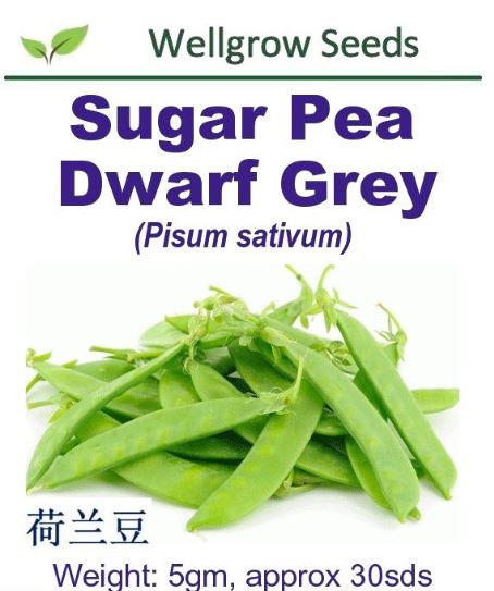 WHT- Sugar Pea Dwarf Grey Seeds (5gm, approx 30sds) 荷兰豆 - CityFarm