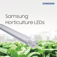 2 Feet CityFarm Horticulture Full Spectrum LED T8 Growlight - Pin Connection