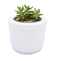 Autopot Smartpot [Stock Clearance] - CityFarm