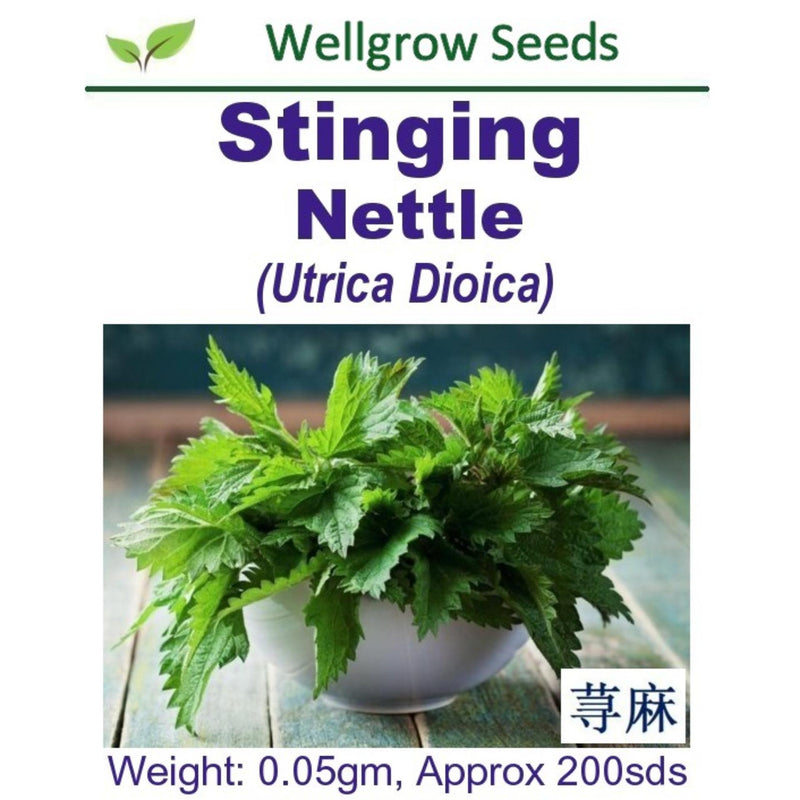 Stinging Nettle Seeds (0.05gm, approx. 200 seeds) - CityFarm