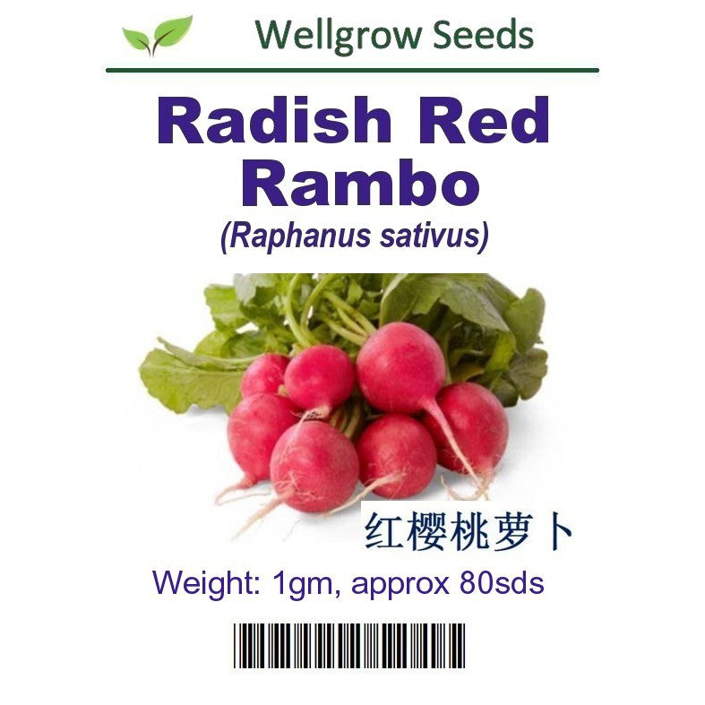 Radish Red Rambo Seeds(1gm, 80 seeds) - CityFarm