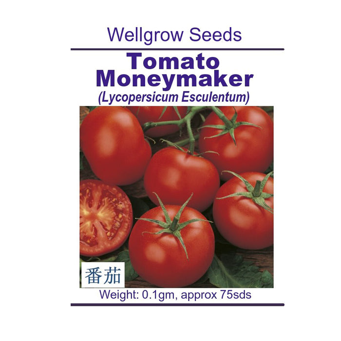 WHT - Tomato Moneymaker (0.1gm, approx 75 sds) 番茄