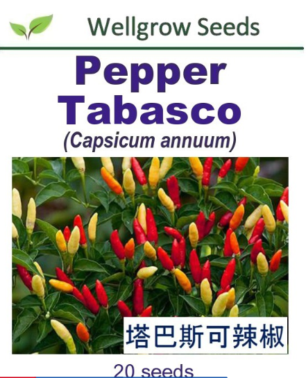 WHT- Pepper Tabasco (20sds) 塔巴斯可辣椒 Benih Cili - CityFarm